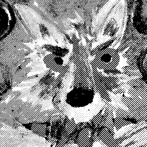 Crayon Dog Diary logo