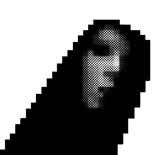 CRUD Crud logo