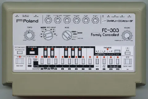家庭控制303