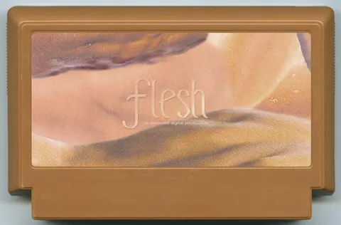 血肉 (FLESH)