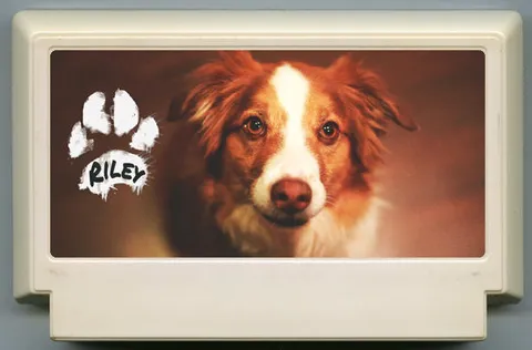 好孩子莱利 (Good Boy Riley)