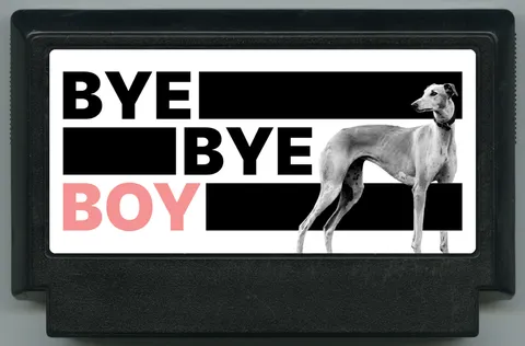 拜拜男孩 (BYE BYE BOY)