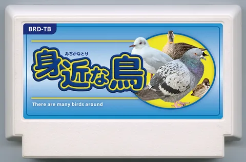 蝴蝶花园2 (BUTTERFLY GARDEN 2)