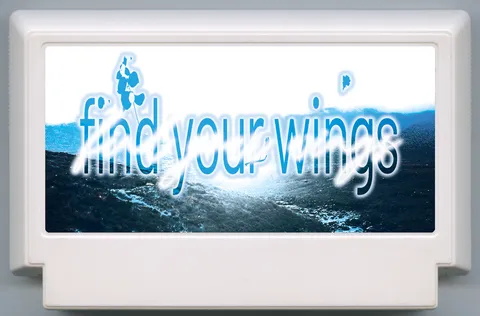 找到你的翅膀 (find your wings)