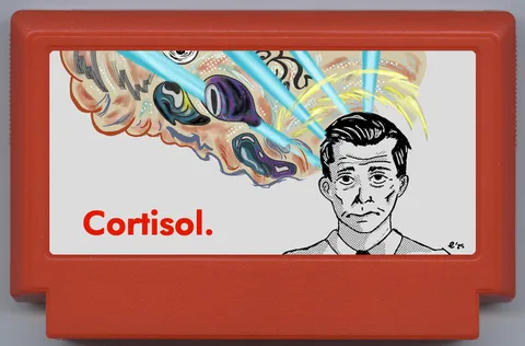 皮质醇。 (Cortisol.)